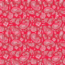 Load image into Gallery viewer, Bandana - Various Colors