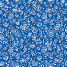 Load image into Gallery viewer, Bandana - Various Colors